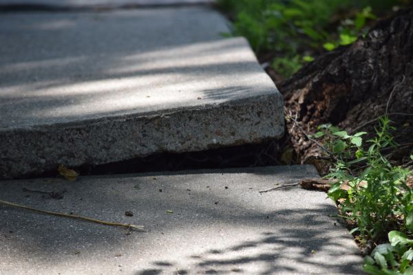 Sidewalk Leveling in Springfield